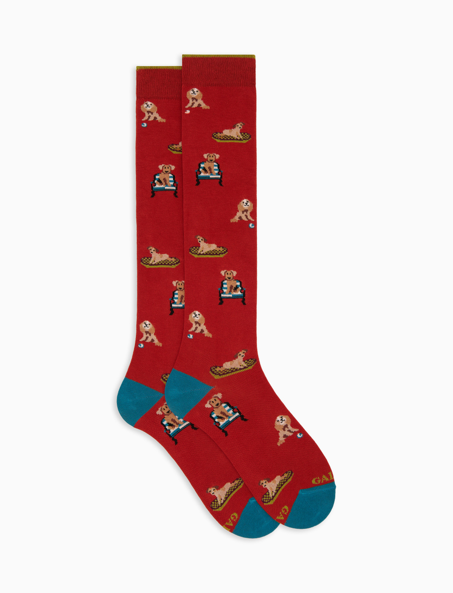 Men's long socks in orange cotton with dog pattern - Gallo 1927 - Official Online Shop