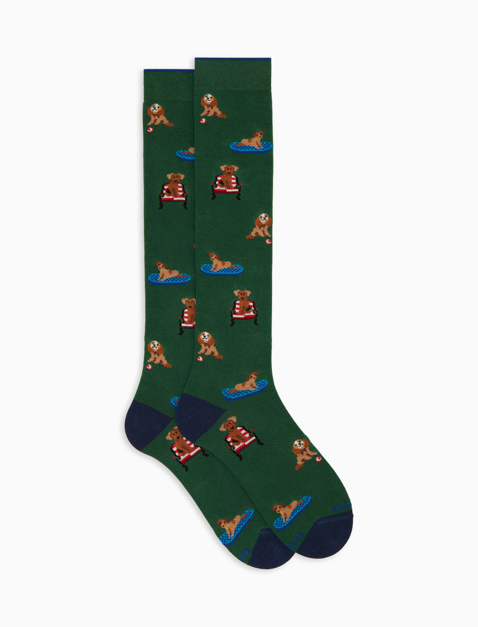 Men's long socks in green cotton with dog pattern - Gallo 1927 - Official Online Shop
