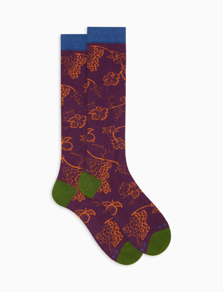 Women's long socks in purple cotton with grape pattern - Gallo 1927 - Official Online Shop