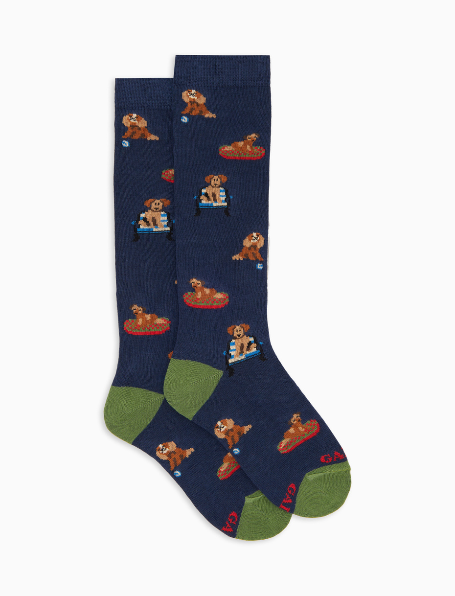 Children's long socks in blue cotton with dog pattern - Gallo 1927 - Official Online Shop