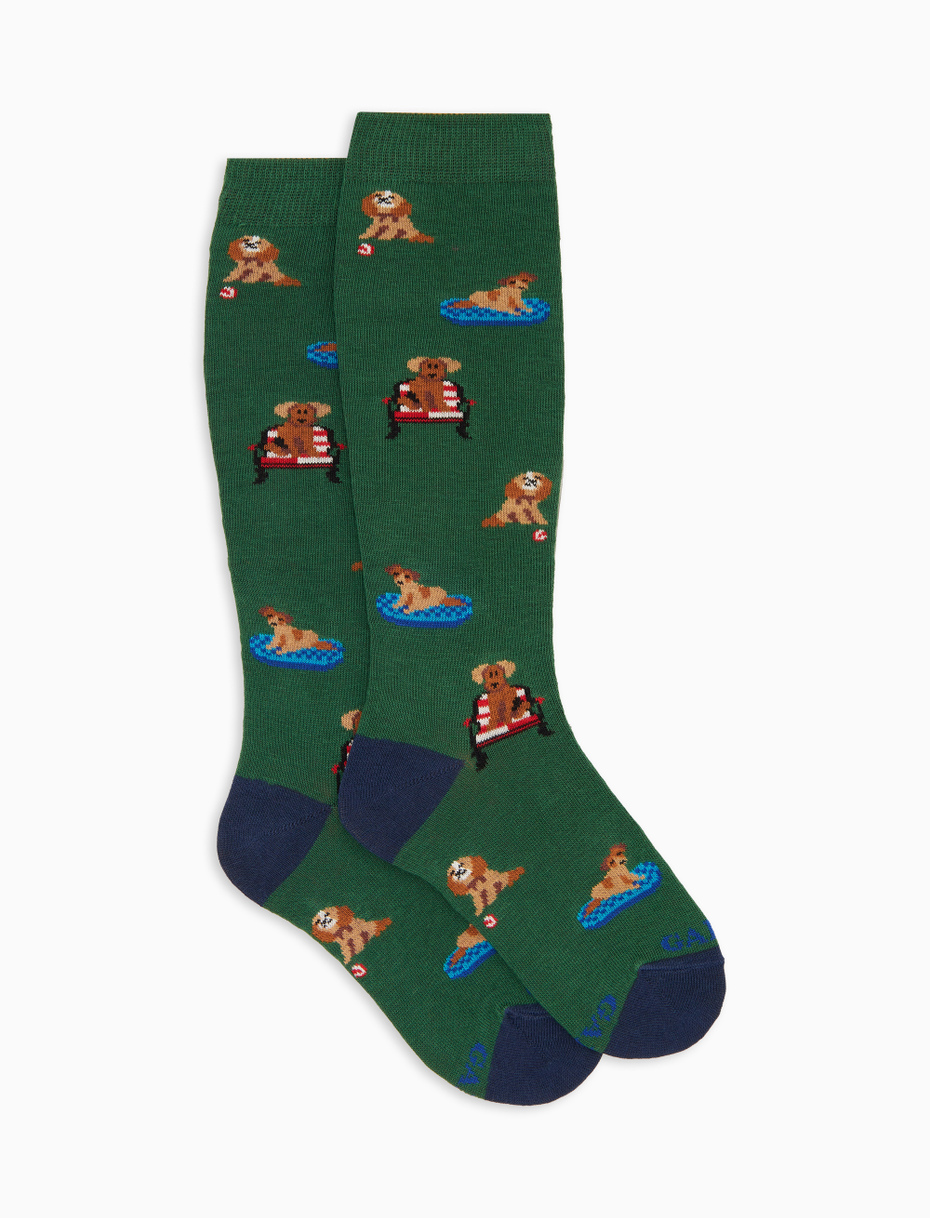 Children's long socks in green cotton with dog pattern - Gallo 1927 - Official Online Shop