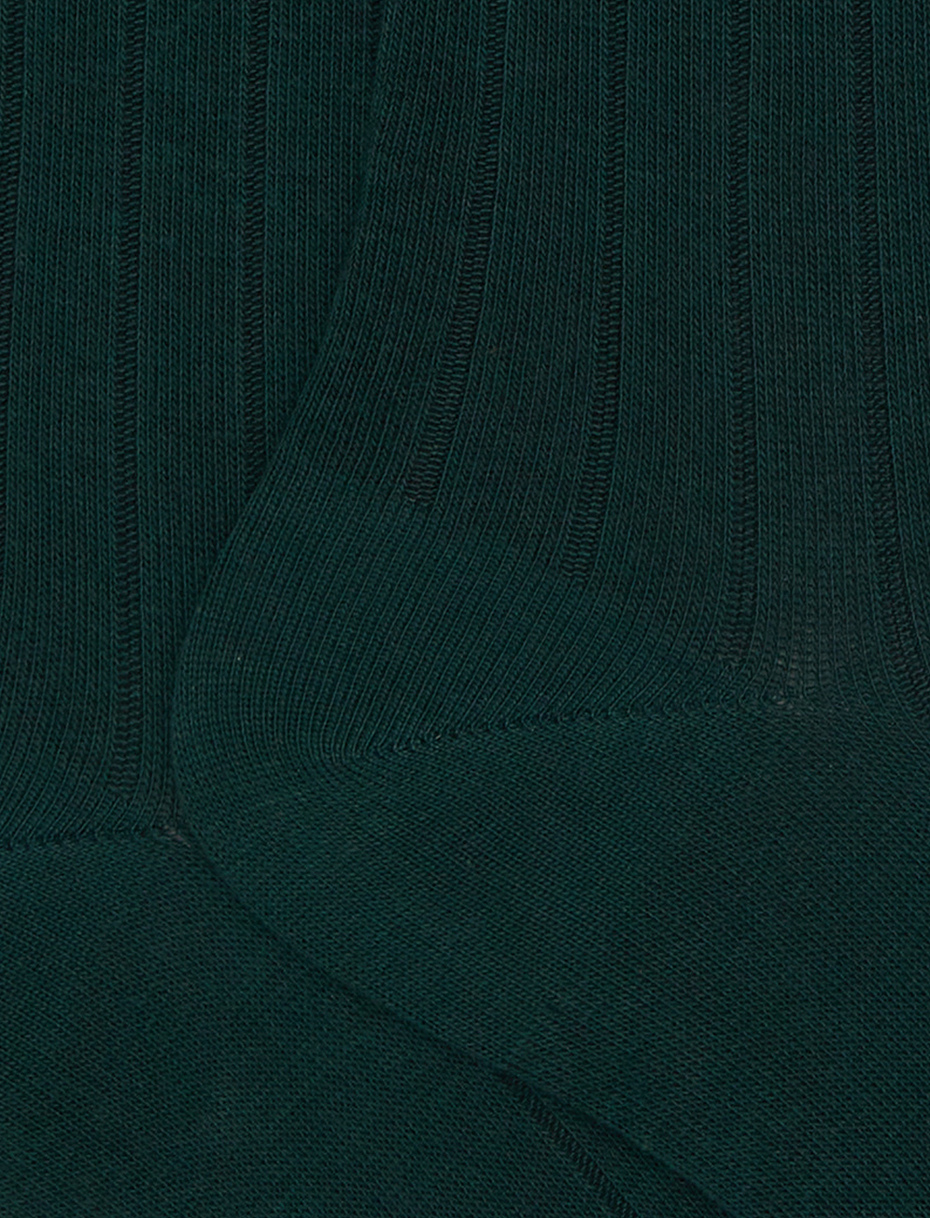 Women's long green cotton socks with ribbing - Gallo 1927 - Official Online Shop
