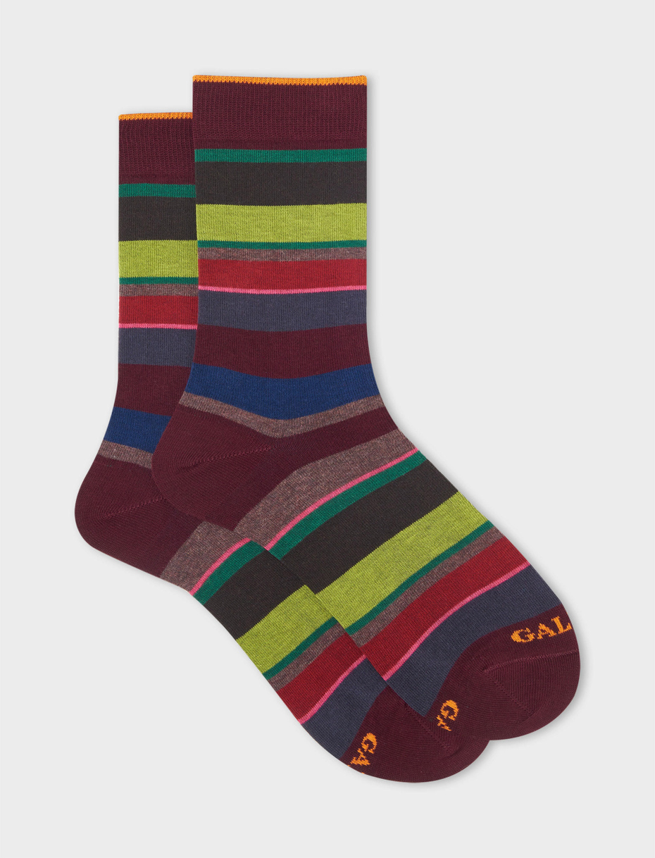 Men's short burgundy cotton socks with multicoloured stripes - Gallo 1927 - Official Online Shop